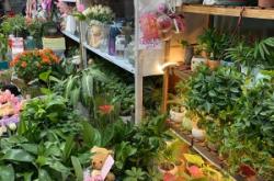 赤峰花店哪家最好