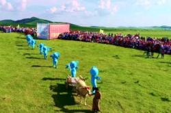 赤峰陳七舞蹈團(tuán)隊(duì)地址電話號(hào)碼