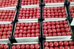 赤峰二道街水果超市電話號(hào)碼