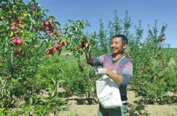 赤峰市子午線歌廳電話號碼