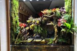 赤峰雨林造景公司地址電話號(hào)碼