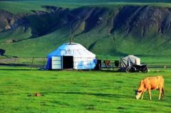 赤峰萬達蒙古奶茶店電話號碼