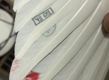 赤峰市春輝鴿舍地址電話號(hào)碼