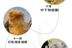 赤峰酸菜食品廠電話號碼查詢