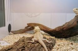 赤峰環(huán)球動物園電話號碼多少