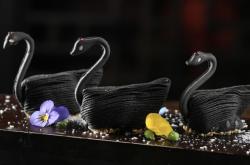 赤峰黑天鵝店電話號(hào)碼查詢