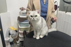 赤峰唯藝寵物生活館電話號碼