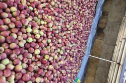 赤峰蘋果直營店電話號碼查詢