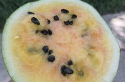 赤峰賣血去哪里