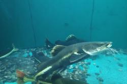 海洋館赤峰眾聯(lián)店電話號(hào)碼