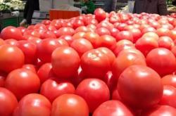 赤峰普發(fā)超市電話地址在哪里