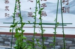 赤峰摩爾城攀爬架廠家電話號(hào)碼