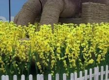 赤峰摩爾城撿狗電話多少號(hào)