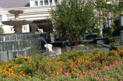 赤峰梧桐鮮花店電話號碼多少