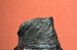 赤峰白馬紋繡店電話號(hào)碼多少