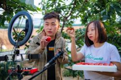 赤峰市蛋糕直播基地電話號(hào)碼