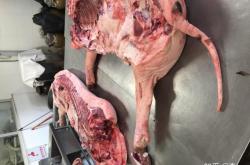 赤峰菜市場賣豬肉的電話號碼