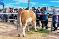 赤峰牲畜防疫站電話號(hào)碼是多少