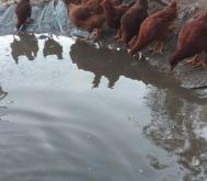 赤峰養(yǎng)蘭基地地址電話號(hào)碼查詢