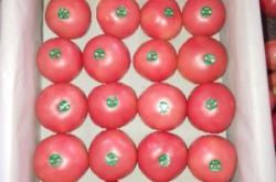 赤峰寧城壽司店電話多少號