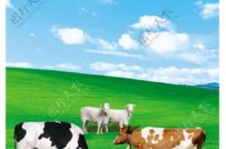 赤峰育肥牛羊養(yǎng)殖基地電話號(hào)碼