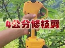 赤峰果樹修枝剪刀廠家電話號(hào)碼