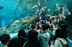 赤峰市海底樂(lè)園地址電話號(hào)碼