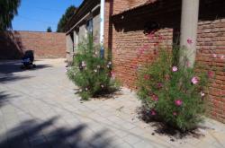 赤峰紅廟子煙花廠電話號(hào)碼查詢