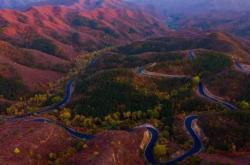 赤峰風(fēng)景區(qū)毛驢肉館電話號(hào)碼