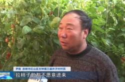 赤峰房產(chǎn)局電話號碼查詢是多少