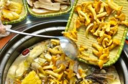 赤峰蕎面殼批發(fā)商電話號碼