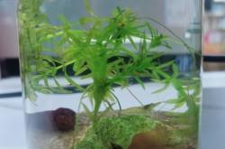 赤峰二手小魚缸出售電話號碼