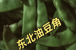 赤峰豆角價格圖