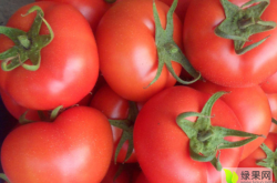 內蒙古赤峰二銨廠電話號碼