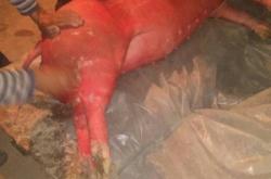 赤峰附近活?，F(xiàn)殺廠電話號碼