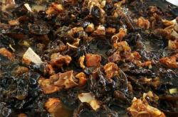 赤峰蘿卜種子公司電話號(hào)碼