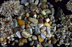 赤峰古玩城浴池電話號(hào)碼多少