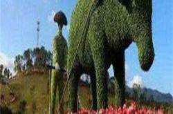 赤峰綠雕制作供應商電話號碼