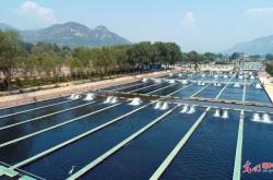 赤峰市鱘魚(yú)養(yǎng)殖場(chǎng)電話號(hào)碼