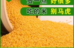 赤峰到天山貨車電話號(hào)碼多少