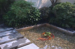 赤峰市清理魚池電話號碼是多少