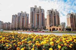 赤峰百合煙花代理電話地址查詢(xún)