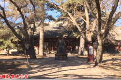 赤峰藥材基地電話號(hào)碼多少號(hào)