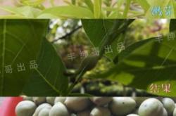 赤峰市手串店面電話地址查詢