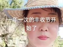 赤峰市收谷子的公司電話號(hào)碼