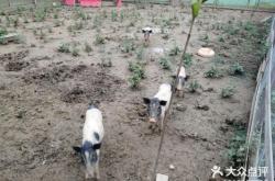 赤峰市泥巴樂園地址電話號碼