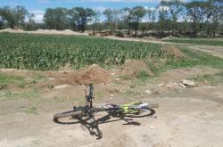 赤峰喀喇沁快遞電話號(hào)碼查詢