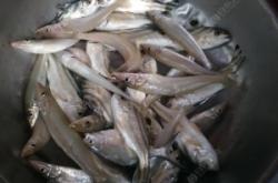 赤峰市錦山釣魚地點(diǎn)電話號碼