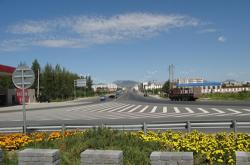 赤峰市大板鎮(zhèn)收活豬電話號(hào)碼