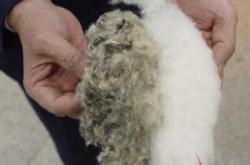 赤峰回收黑心棉的電話號碼